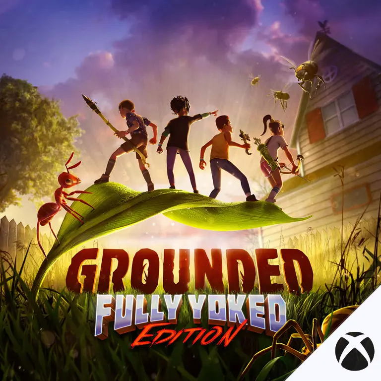 grounded |compartida