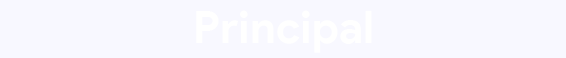 principal baner1